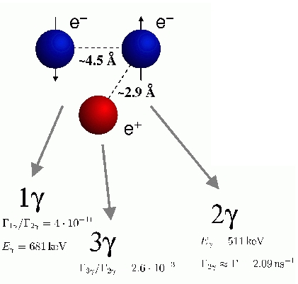 Fundamental physics with positronium at the FRM 2 - Experimental ...